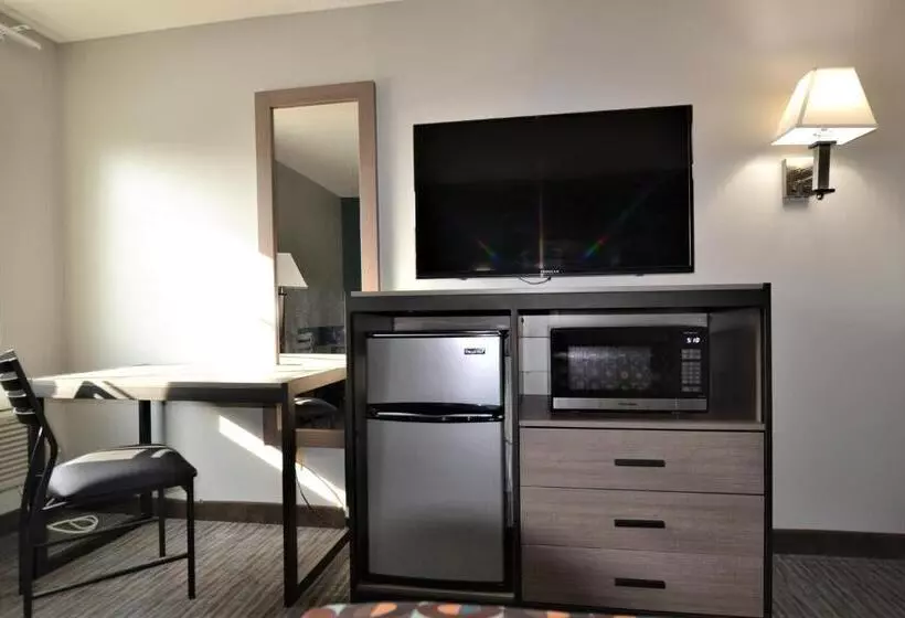 キングサイズベッドのスタンダードルーム, Countryside Inn & Suites Omaha East Council Bluffs Ia