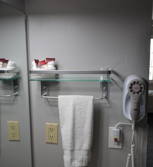 자쿠지 스위트, Countryside Inn & Suites Omaha East Council Bluffs Ia