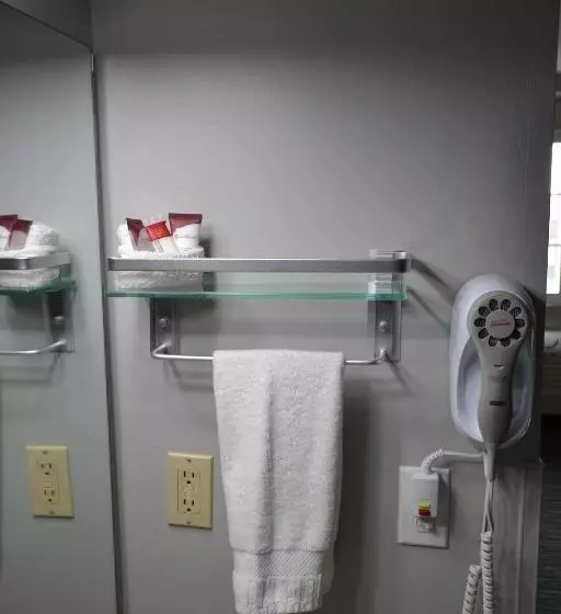ハイドロマッサージバス付きスイート, Countryside Inn & Suites Omaha East Council Bluffs Ia