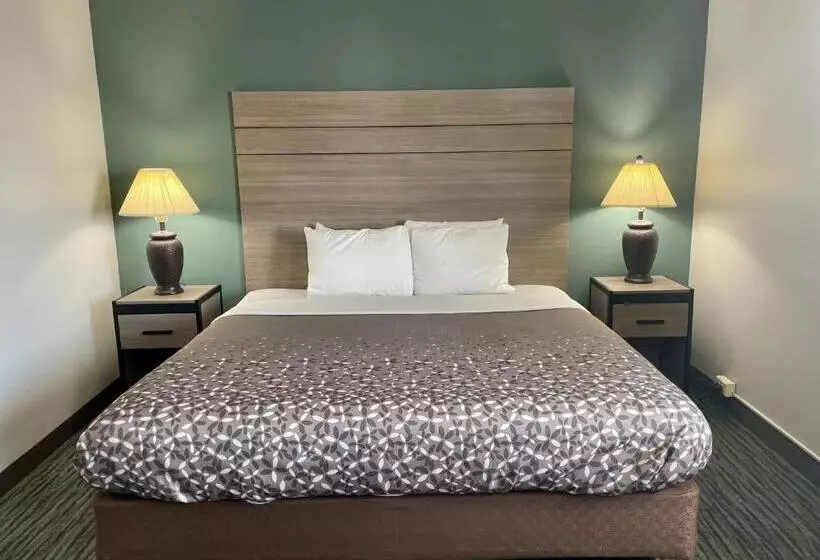 ハイドロマッサージバス付きスイート, Countryside Inn & Suites Omaha East Council Bluffs Ia