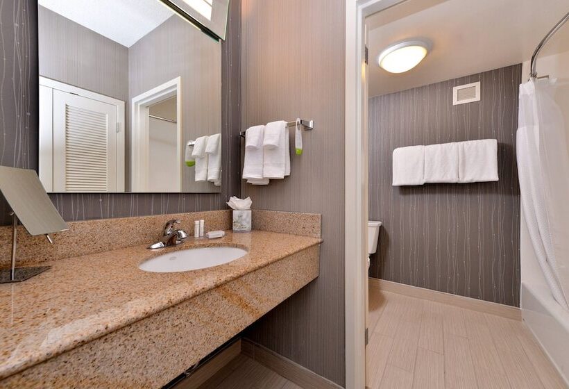 İki Çift Kişilik Yataklı Standart Oda, Courtyard By Marriott Dallas Northwest