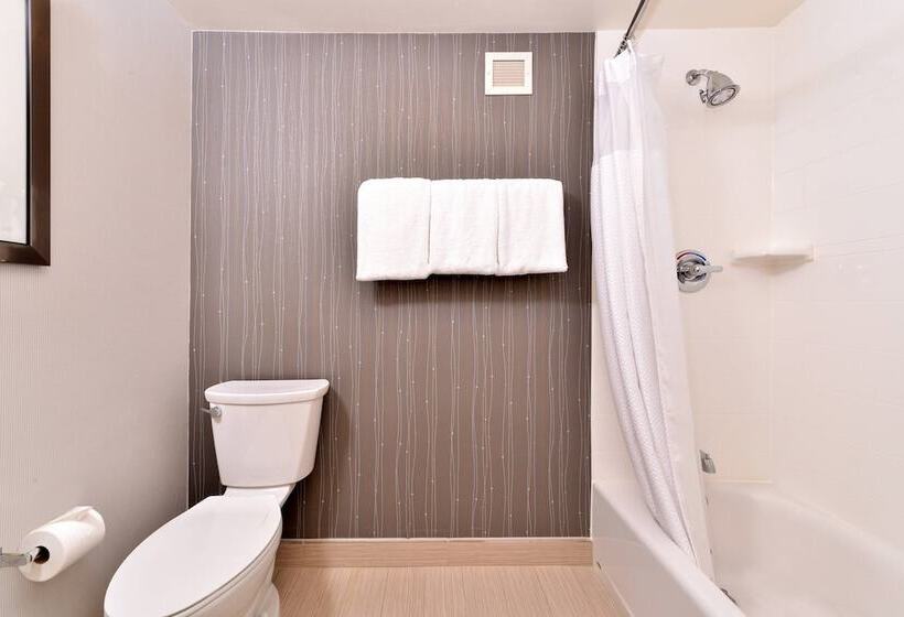 İki Çift Kişilik Yataklı Standart Oda, Courtyard By Marriott Dallas Northwest