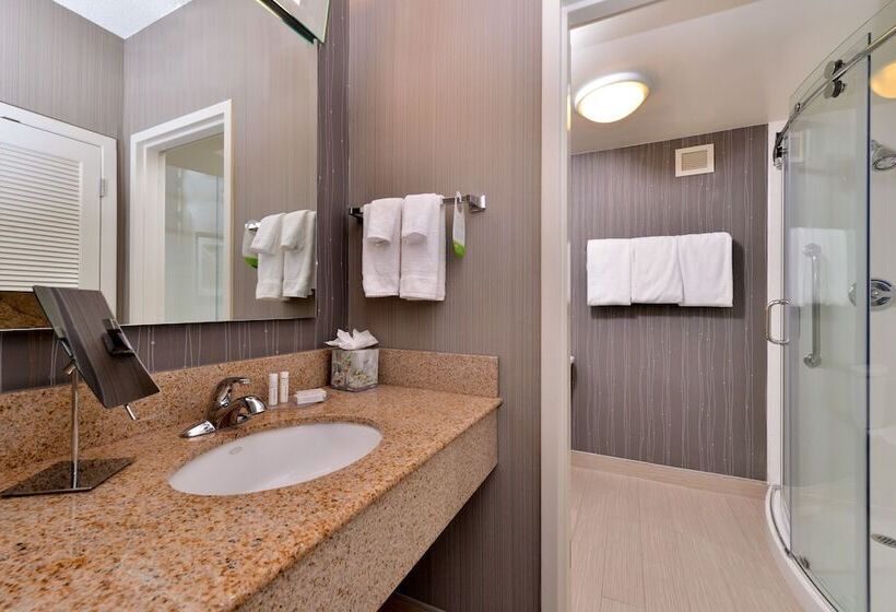 Süit, Courtyard By Marriott Dallas Northwest