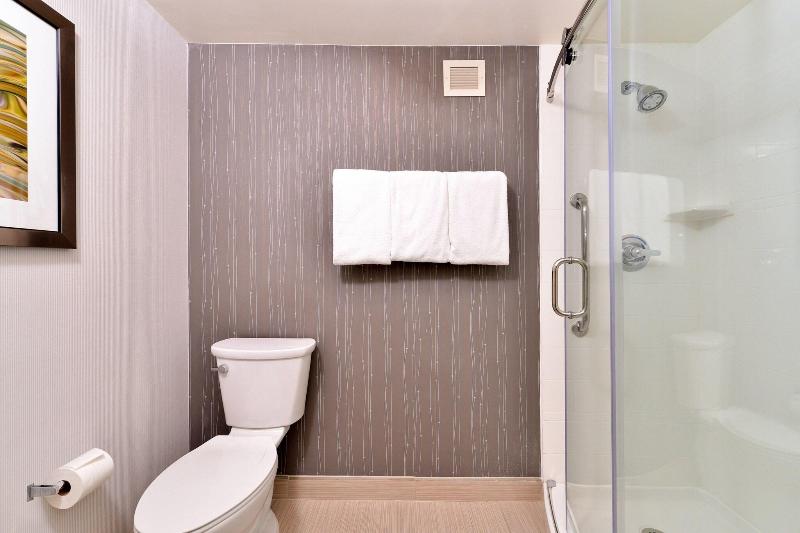 Büyük Çift Kişilik Yataklı Standart Oda, Courtyard By Marriott Dallas Northwest