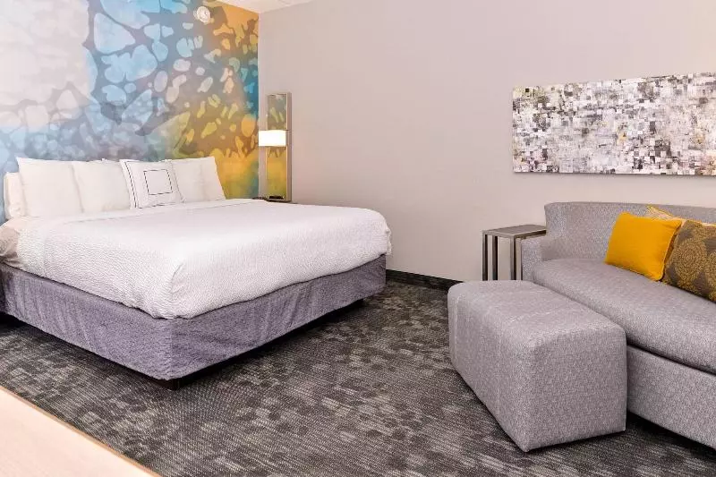 Sviitti King-vuode, Courtyard By Marriott Dallas Northwest