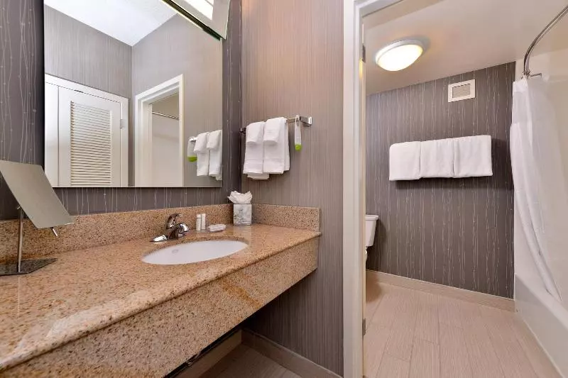 Sviitti King-vuode, Courtyard By Marriott Dallas Northwest