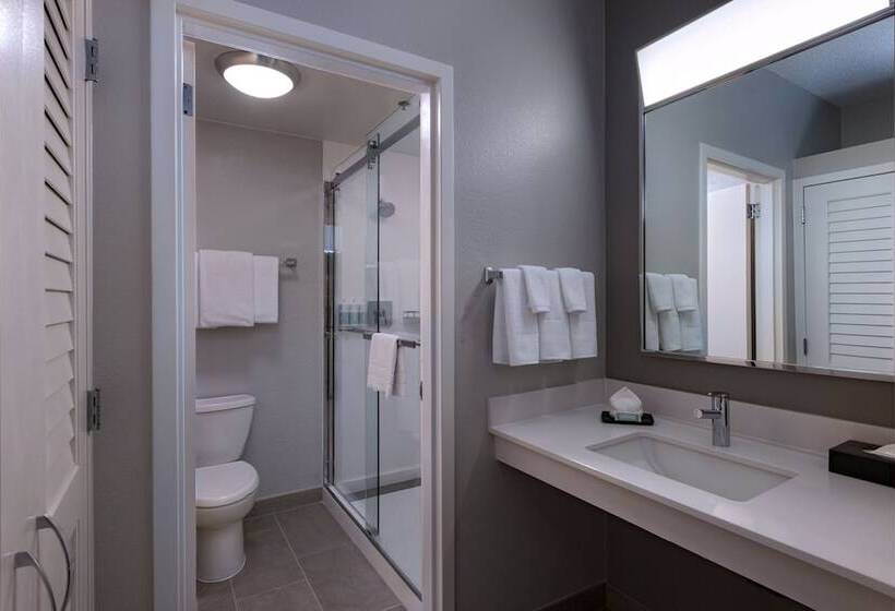 غرفه قياسيه سريرين مزدوجين, Courtyard By Marriott Dallas Plano Parkway At Preston Road