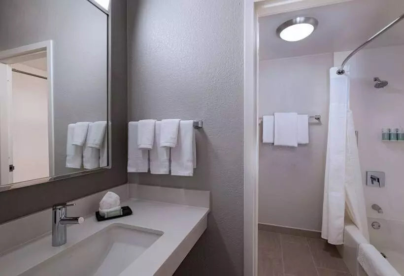 ２ダブルベッドのスタンダードルーム, Courtyard By Marriott Dallas Plano Parkway At Preston Road