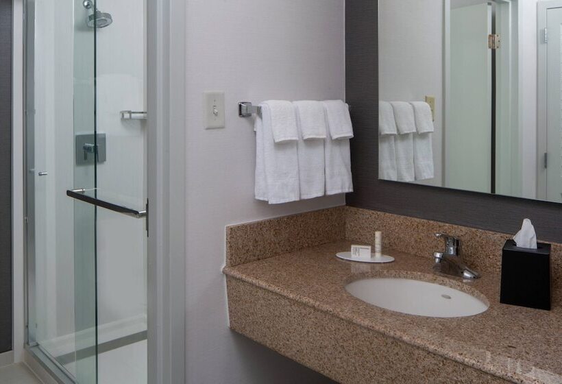 Номер Стандарт 2 Двуспальные Кровати, Courtyard By Marriott Memphis East/park Avenue