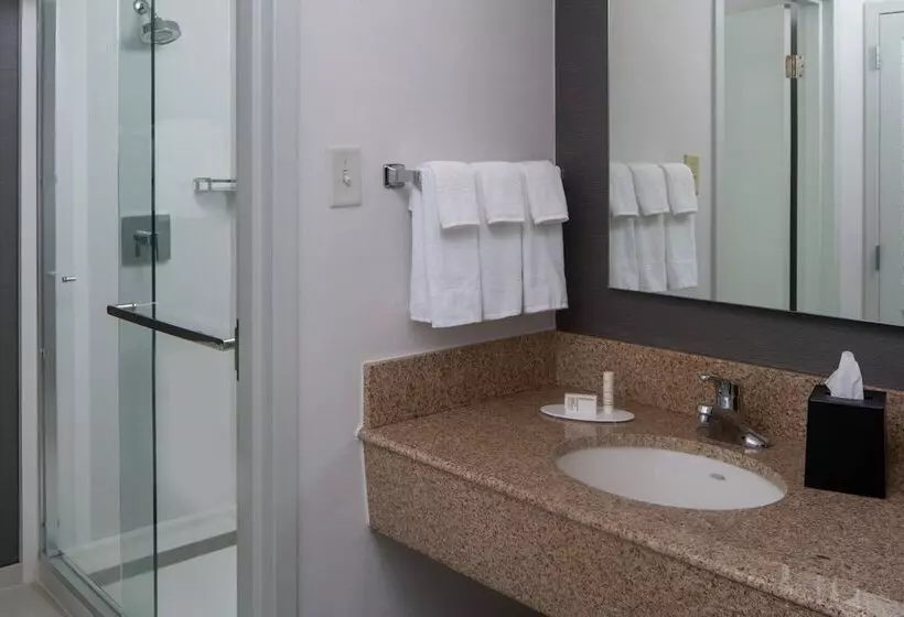 ２ダブルベッドのスタンダードルーム, Courtyard By Marriott Memphis East/park Avenue