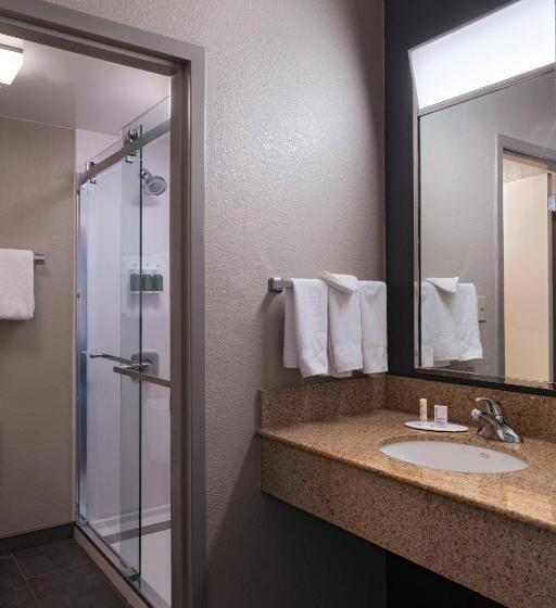 Büyük Çift Kişilik Yataklı Standart Oda, Courtyard By Marriott San Antonio Airport