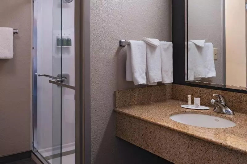Standard-huone King-vuode, Courtyard By Marriott San Antonio Airport