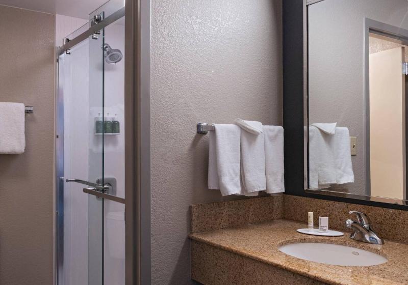 Büyük Çift Kişilik Yataklı Standart Oda, Courtyard By Marriott San Antonio Airport