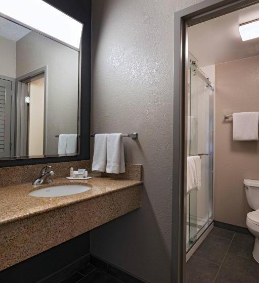 חדר סטנדרט עם מיטת קינג, Courtyard By Marriott San Antonio Medical Center