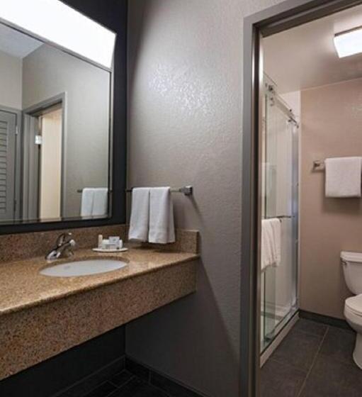 اتاق استاندارد با تخت بزرگ, Courtyard By Marriott San Antonio Medical Center