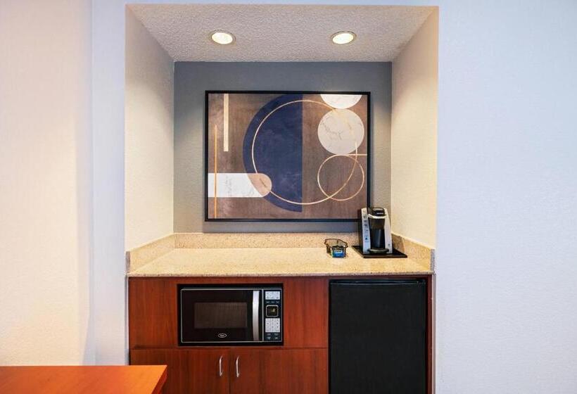 سوئیت با تخت بزرگ, Courtyard By Marriott San Antonio Medical Center