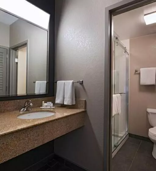 スイート, Courtyard By Marriott San Antonio Medical Center