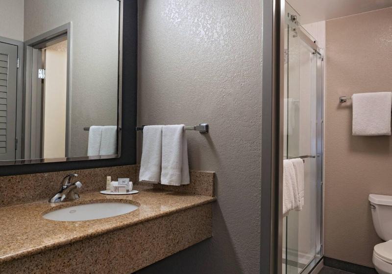 سوییت, Courtyard By Marriott San Antonio Medical Center