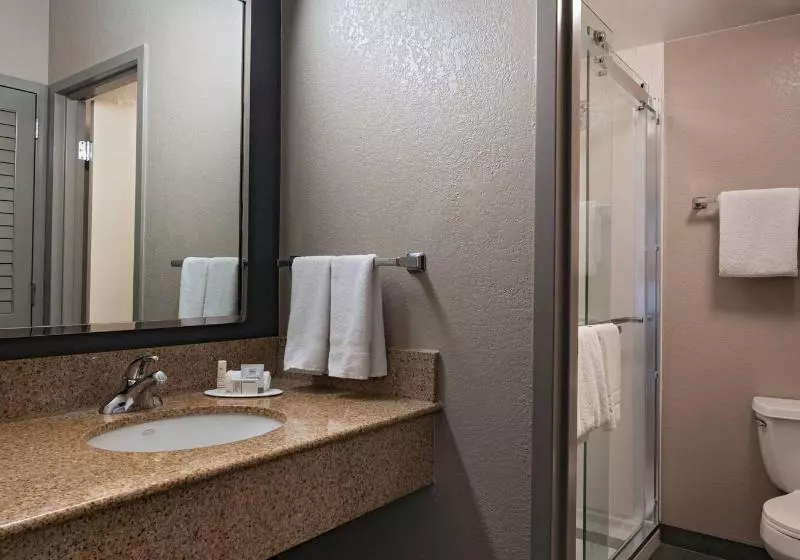 スイート, Courtyard By Marriott San Antonio Medical Center