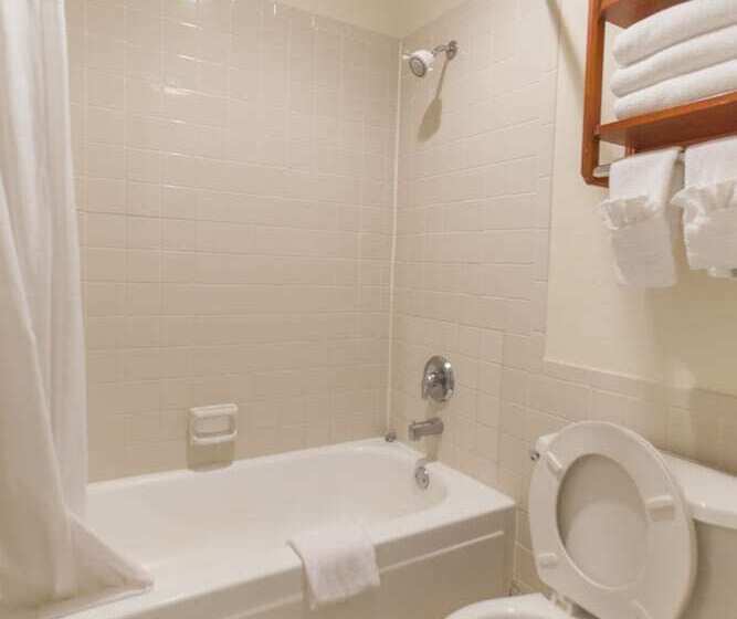 غرفه قياسيه سريرين مزدوجين, Days Inn By Wyndham Shenandoah