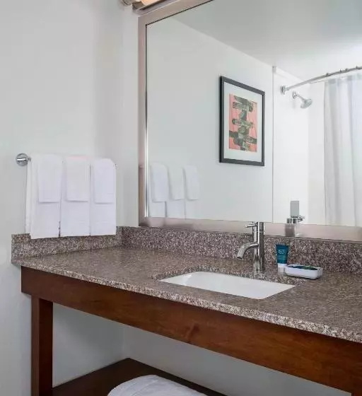 スタンダードルーム, Four Points By Sheraton Buffalo Grove