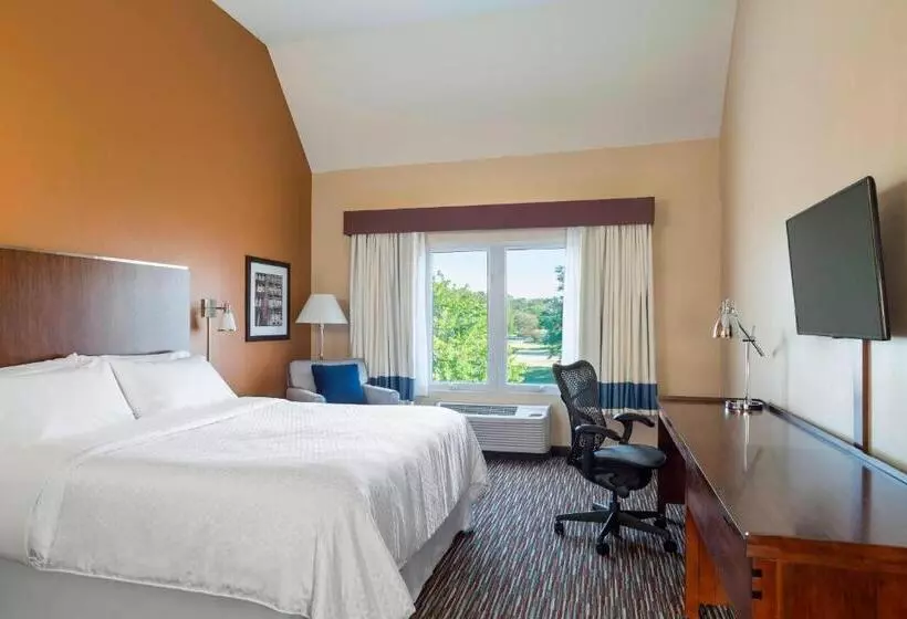 キングサイズベッドのデラックスルーム, Four Points By Sheraton Buffalo Grove