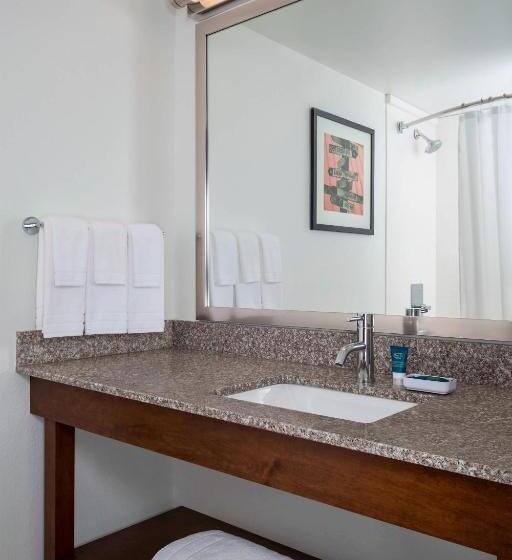 Standard Værelse King Size Seng, Four Points By Sheraton Buffalo Grove