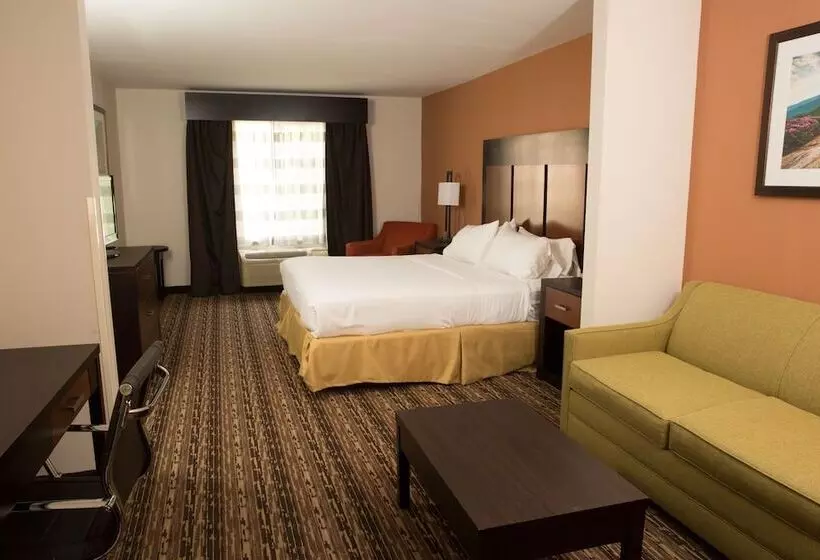 スイート, Holiday Inn Express Hotel & Suites Cherokee Casino, An Ihg
