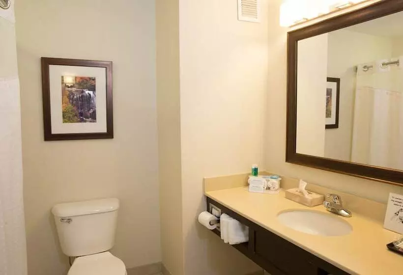 身障者適用スイートルーム, Holiday Inn Express Hotel & Suites Cherokee Casino, An Ihg