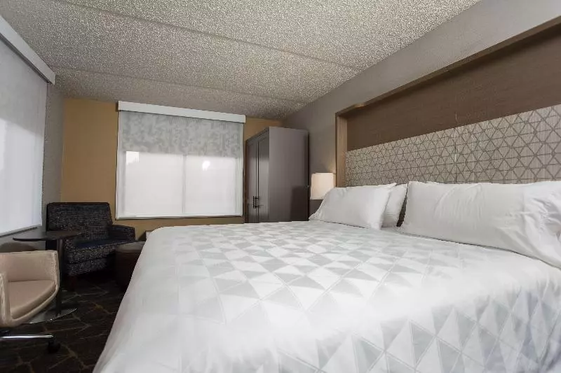 اتاق استاندارد با تخت بزرگ, Holiday Inn Grand Rapids Downtown, An Ihg