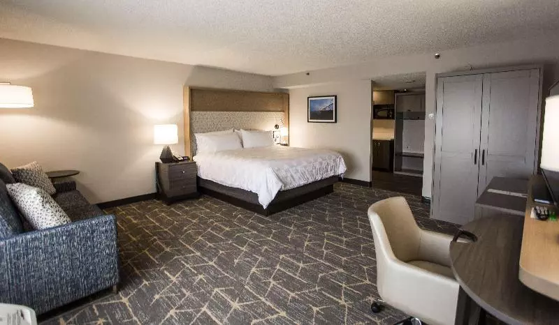اتاق استاندارد با تخت بزرگ, Holiday Inn Grand Rapids Downtown, An Ihg