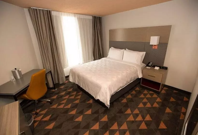 اتاق استاندارد, Holiday Inn Houston Hobby Airport, An Ihg