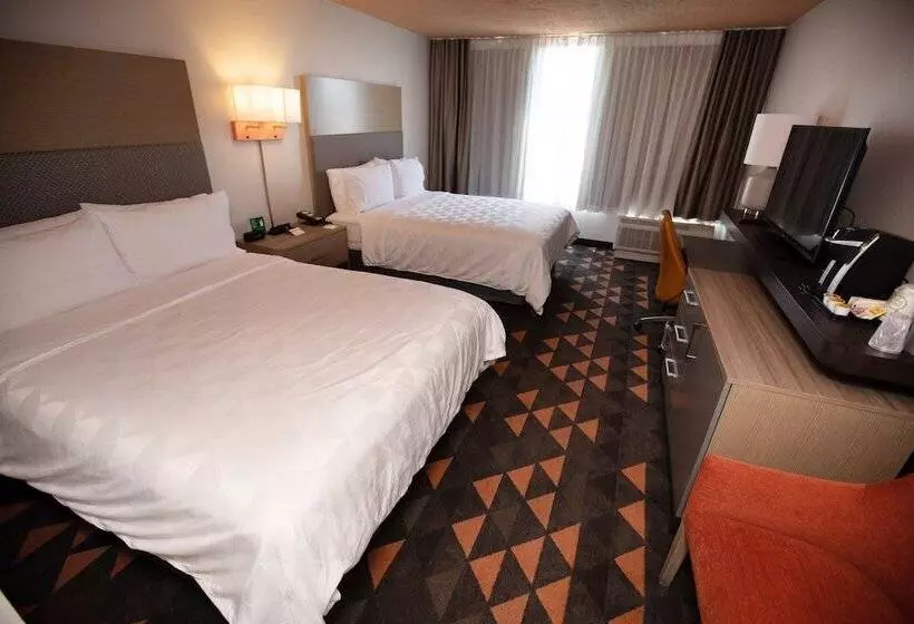 اتاق استاندارد, Holiday Inn Houston Hobby Airport, An Ihg