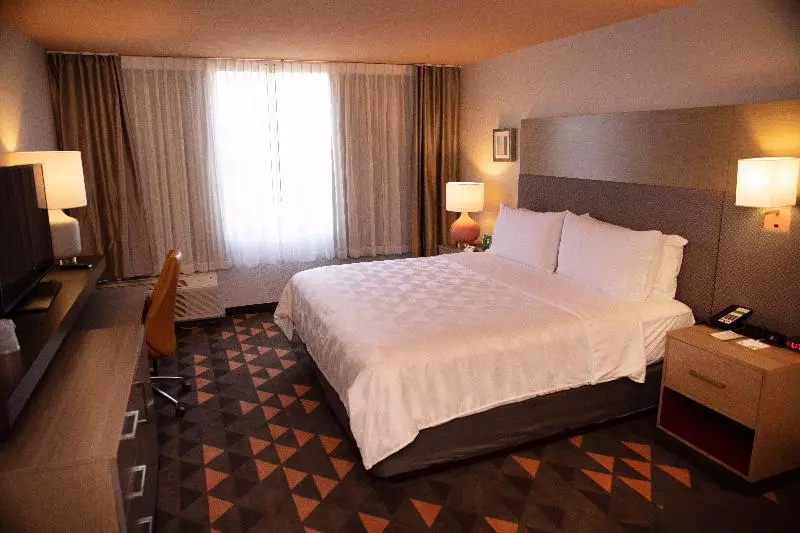 اتاق اجرایی با تخت بزرگ, Holiday Inn Houston Hobby Airport, An Ihg
