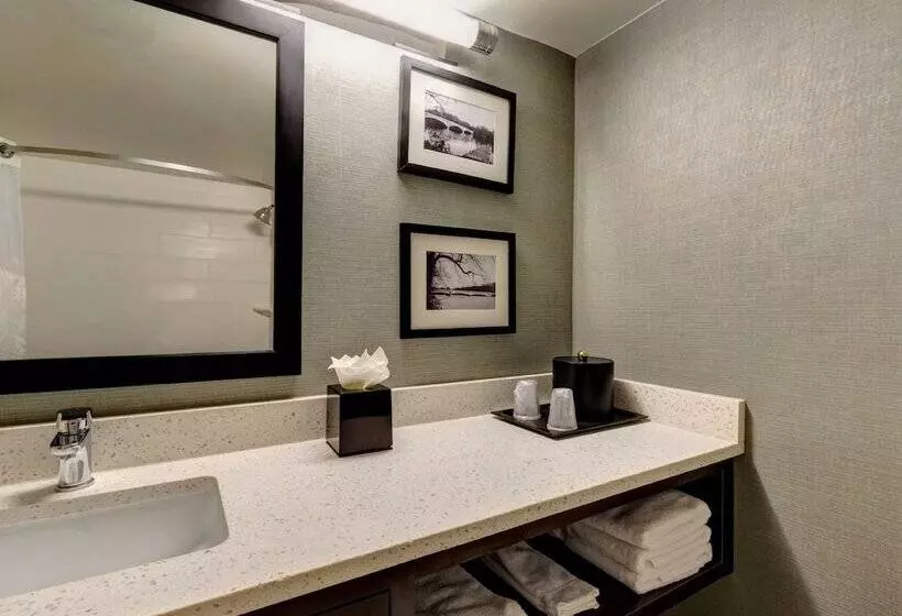 اتاق استاندارد با 2 تخت دوبل, Holiday Inn Princeton, An Ihg