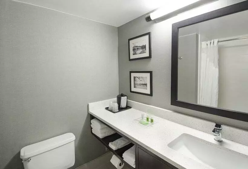 اتاق استاندارد, Holiday Inn Princeton, An Ihg