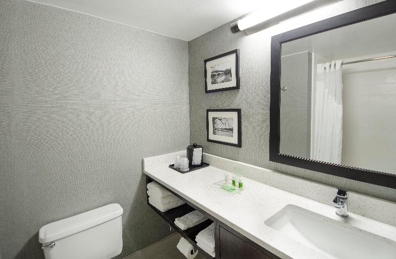חדר סטנדרט עם מיטת קינג, Holiday Inn Princeton, An Ihg