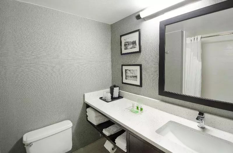 اتاق استاندارد با تخت بزرگ, Holiday Inn Princeton, An Ihg