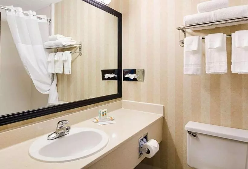 キングサイズベッドのスタンダードルーム, Quality Inn