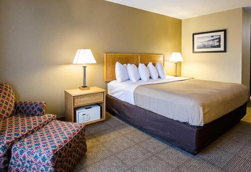 带大床的标准间, Quality Inn