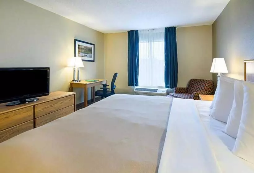 キングサイズベッドのスタンダードルーム, Quality Inn