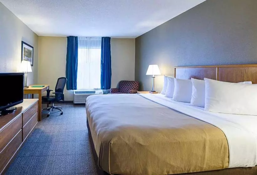キングサイズベッドのスタンダードルーム, Quality Inn