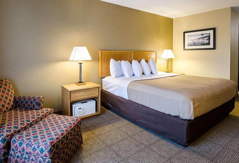 带大床的标准间, Quality Inn