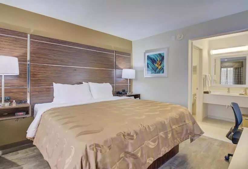 キングサイズベッドのデラックススイート, Quality Inn & Suites