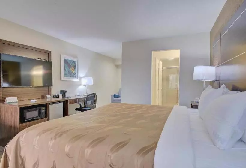 キングサイズベッドのデラックススイート, Quality Inn & Suites