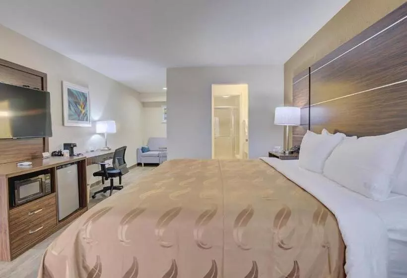 キングサイズベッドのデラックススイート, Quality Inn & Suites
