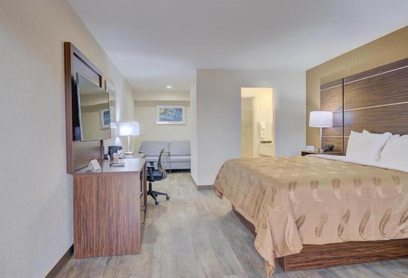جناح ديلوكس سرير كينج, Quality Inn & Suites
