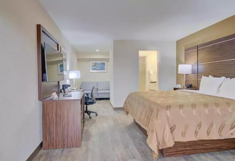 キングサイズベッドのデラックススイート, Quality Inn & Suites
