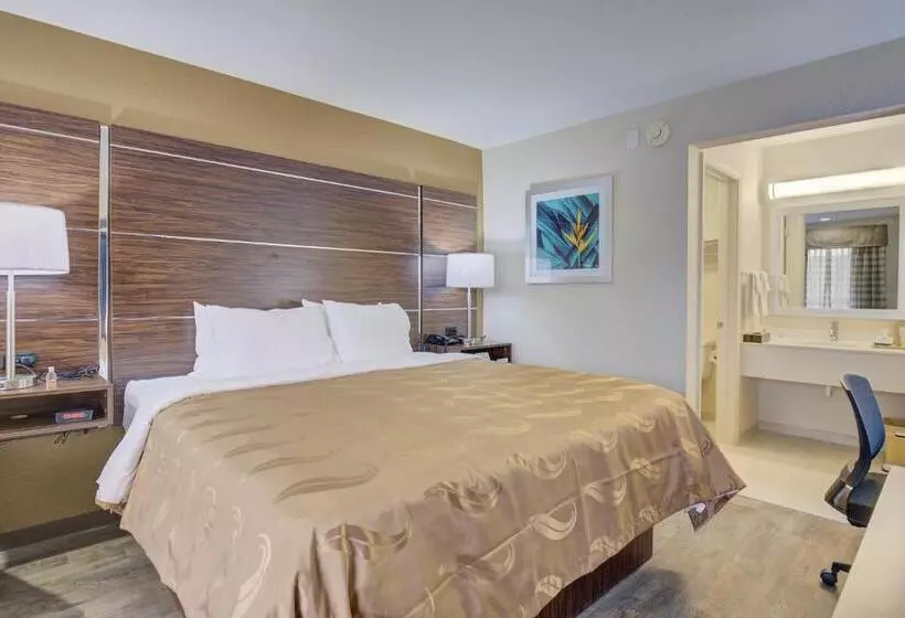 キングサイズベッドのスイートルーム, Quality Inn & Suites