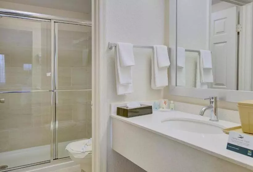 キングサイズベッドのスイートルーム, Quality Inn & Suites
